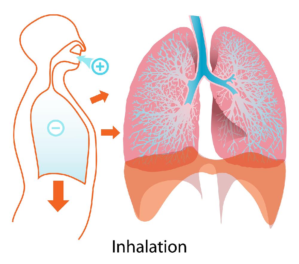 Z czego można wykonać inhalacje?